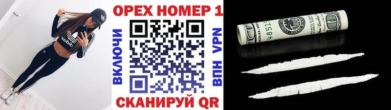 Кокаин FishScale как найти закладки darknet официальный сайт Лаишево