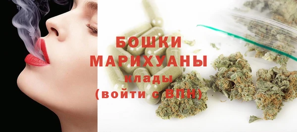 соль ск Козловка