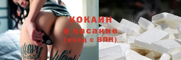 соль ск Козловка