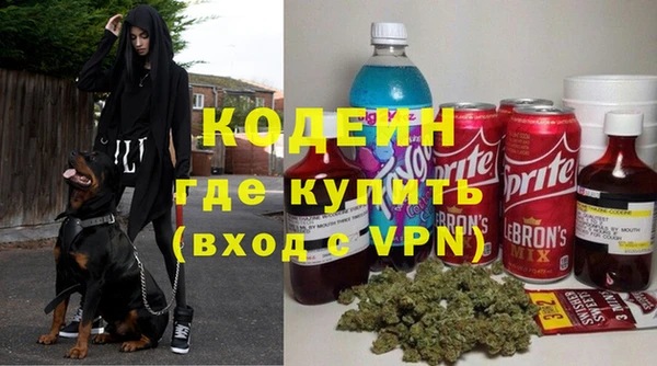 соль ск Козловка
