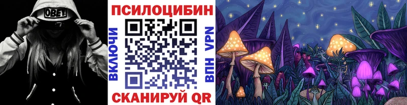 Псилоцибиновые грибы Psilocybine cubensis купить закладку Лаишево